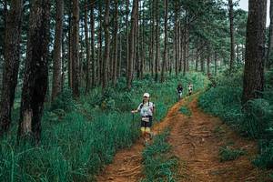 BIB: 
                            <button type="button" onclick="openModal(25667691)" class="btn btn-primary btn-sm float-right btn-popup" data-toggle="modal" data-target=".modal-high-quality">
                        <i class="fas fa-shopping-cart"></i> Add to Cart
                    </button>
                                            <button type="button" onclick="isThisMe(25667691, true)" class="btn btn-success btn-sm float-right btn-popup btn-isme hidden" data-toggle="tooltip" data-placement="bottom" title="นี่คือรูปของคุณใช่ไหม คลิกที่นี่เพื่อเอาเข้าอัลบั้ม">
                        <i class="fas fa-plus"></i> Add to album
                    </button>
                    <button type="button" onclick="isThisMe(25667691, false)" class="btn btn-warning btn-sm float-right btn-popup btn-isnotme hidden">
                        <i class="fas fa-ban"></i> Remove from album
                    </button>